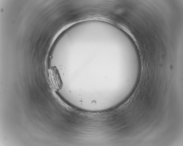 X0000085281032200704092201