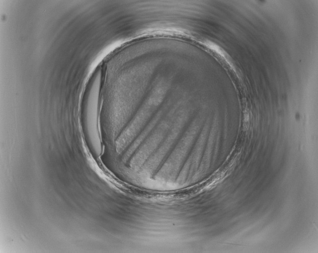 X0000085281038200704092201