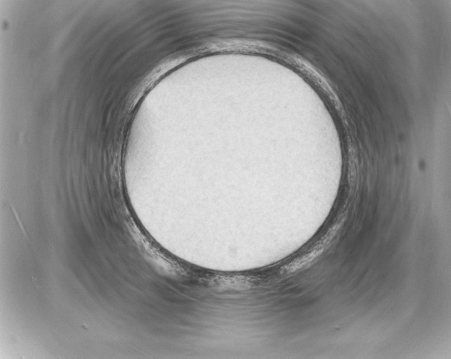 X0000085281041200704092201