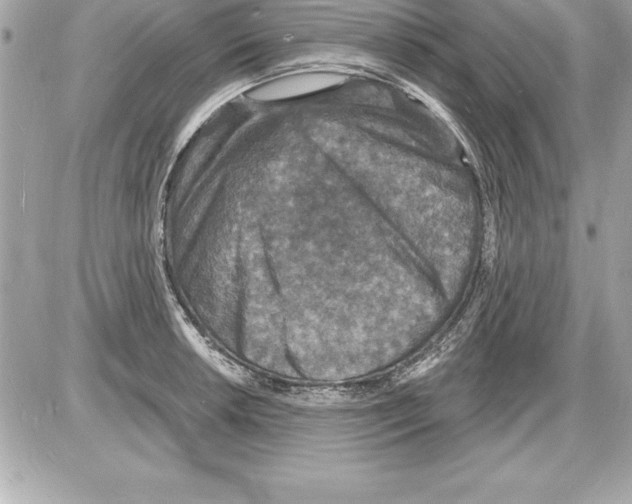 X0000085281042200704092201