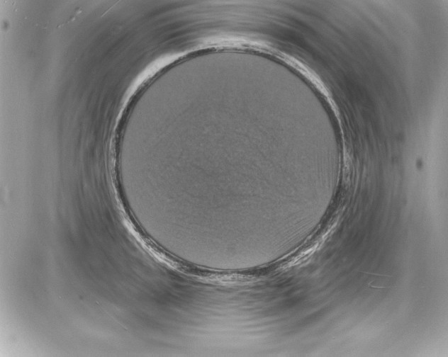 X0000085281045200704092201