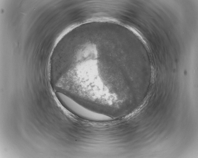 X0000085281046200704092201