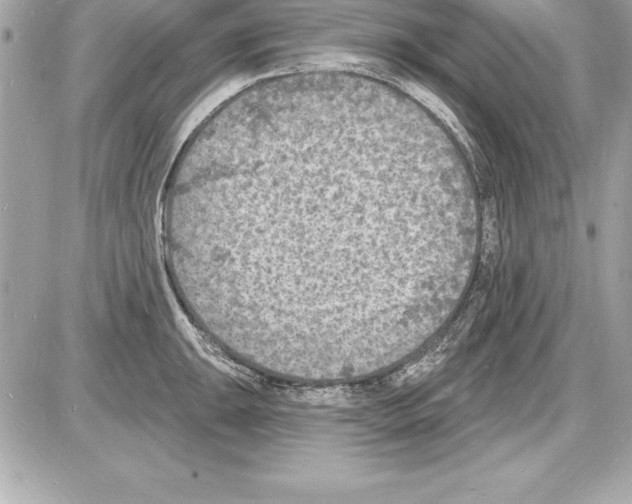 X0000085281047200704092201