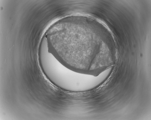 X0000085281048200704092201