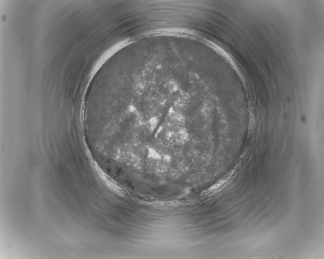 X0000085281050200704092201