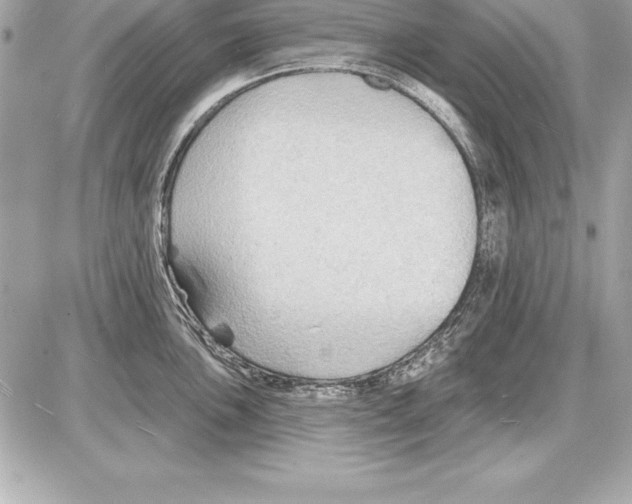 X0000085281051200704092201