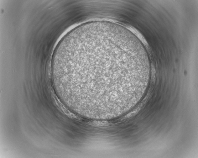 X0000085281052200704092201