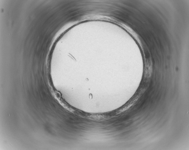 X0000085281053200704092201