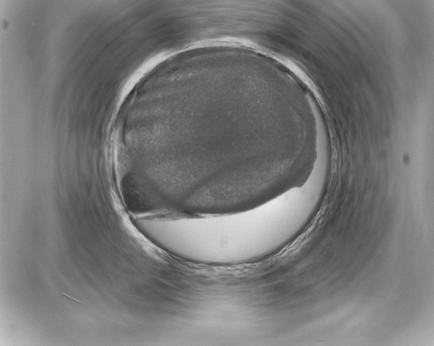 X0000085281054200704092201