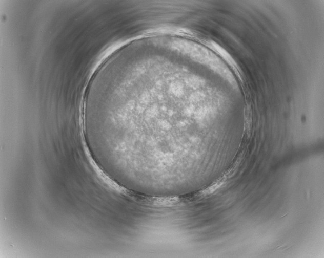 X0000085281055200704092201