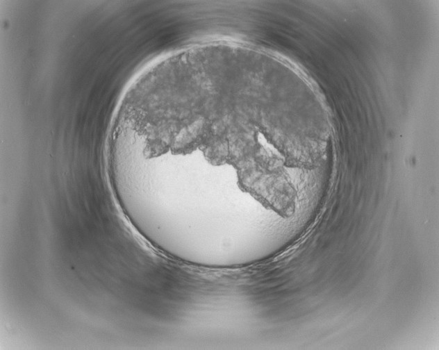 X0000085281056200704092201