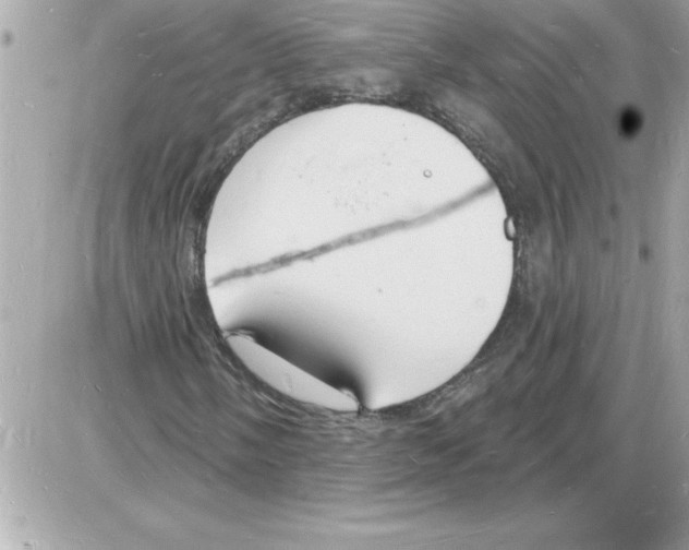 X0000085281058200704092200