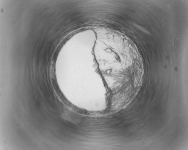 X0000085281059200704092200