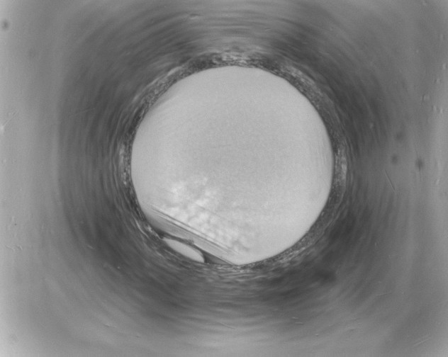 X0000085281060200704092200