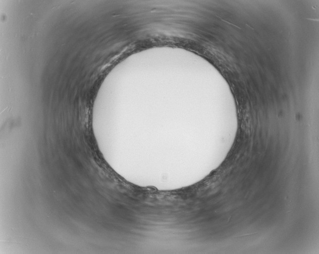 X0000085281061200704092200