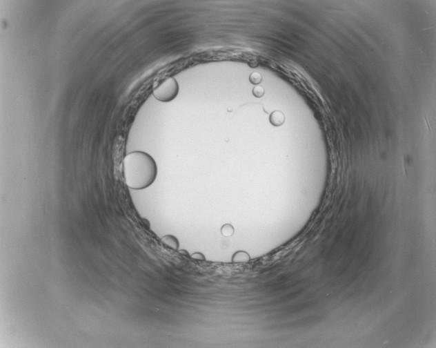 X0000085281064200704092200