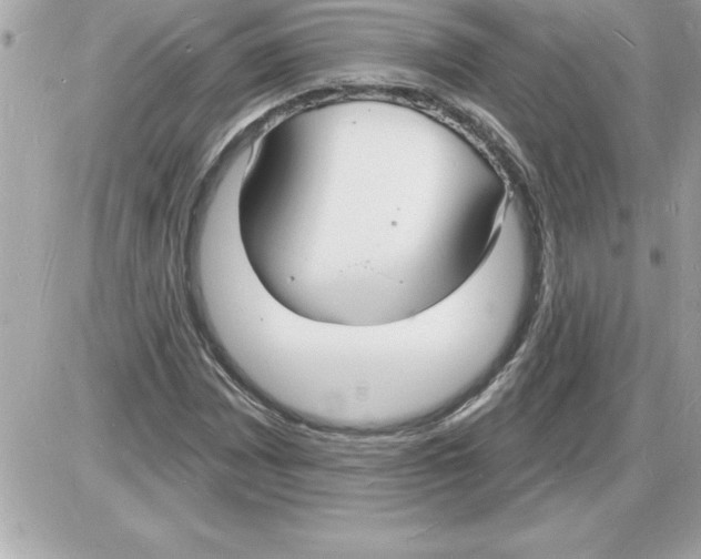 X0000085281065200704092200