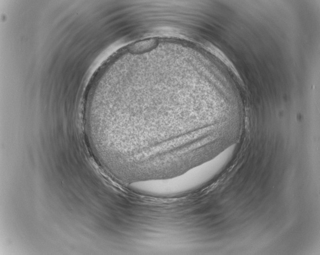 X0000085281068200704092200