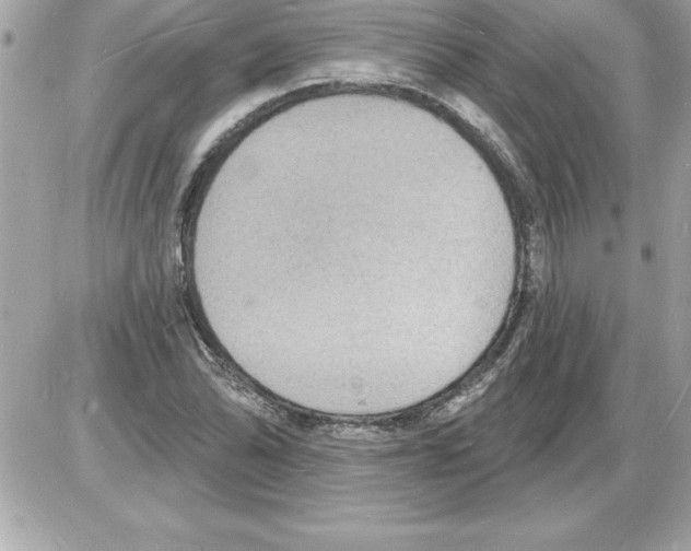 X0000085281070200704092200