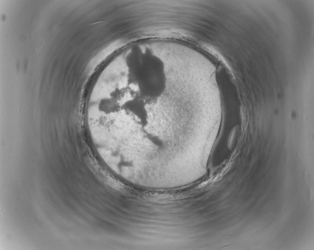 X0000085281071200704092200