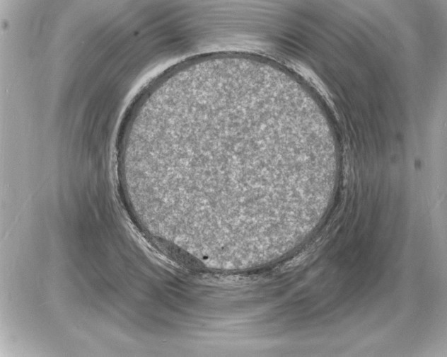 X0000085281072200704092200