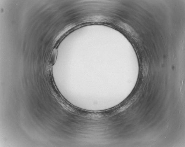 X0000085281073200704092200