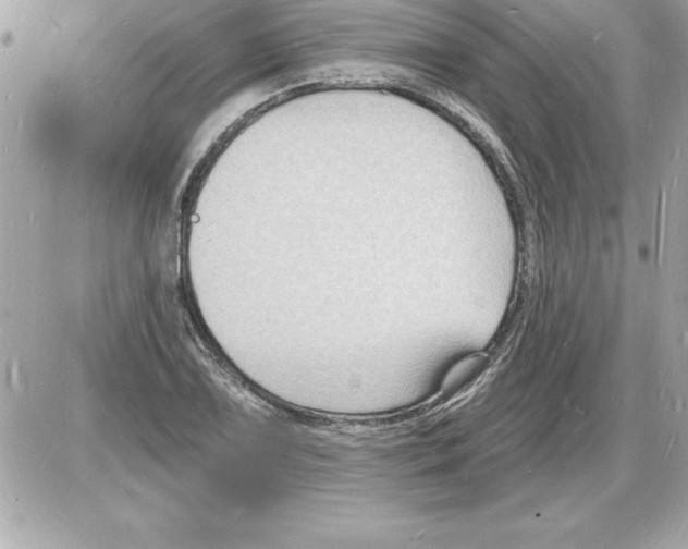 X0000085281075200704092200