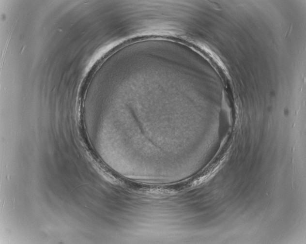 X0000085281077200704092200