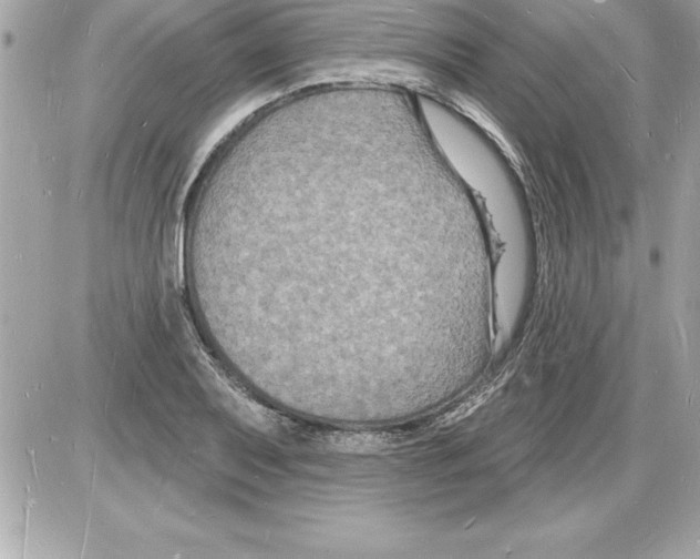 X0000085281079200704092200