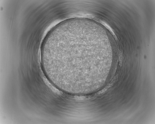 X0000085281080200704092200