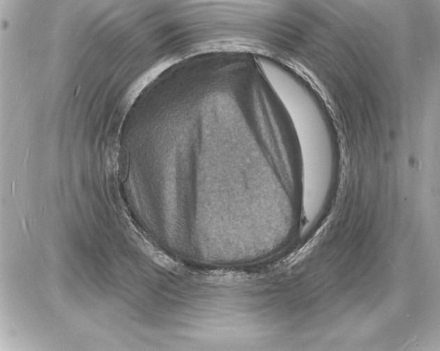 X0000085281081200704092200