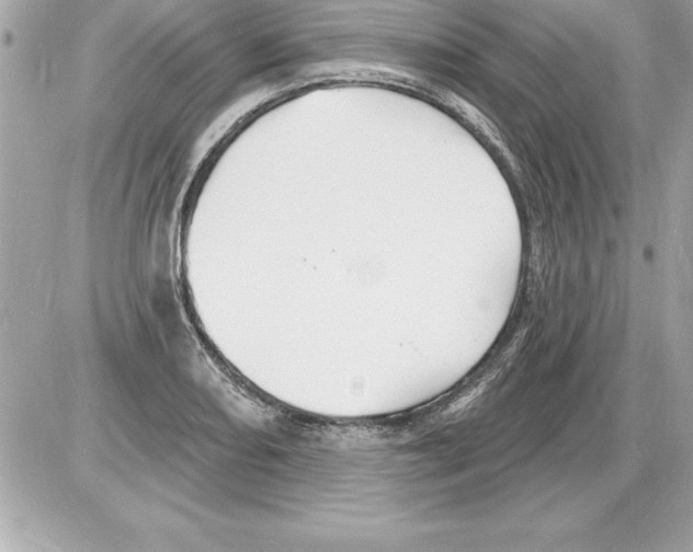 X0000085281082200704092200