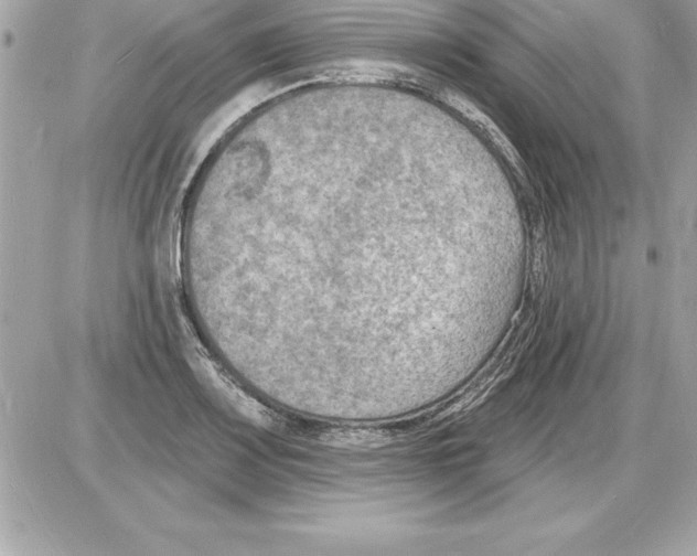 X0000085281083200704092200