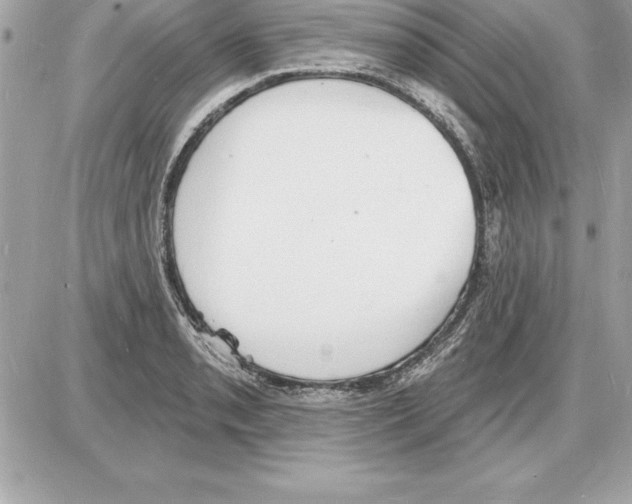 X0000085281085200704092200