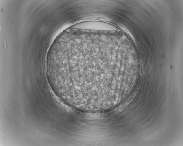 X0000085281087200704092200