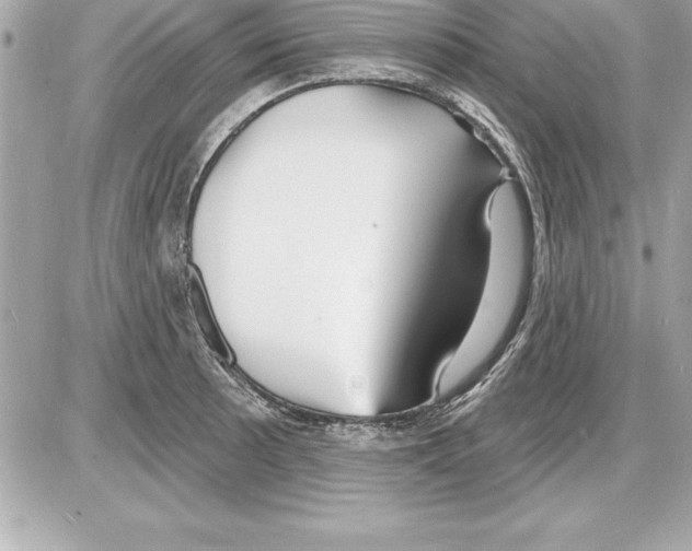 X0000085281089200704092200