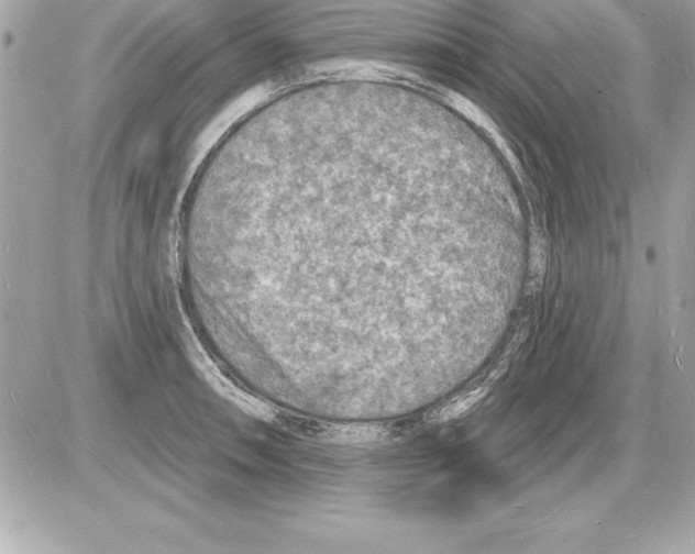 X0000085281090200704092200