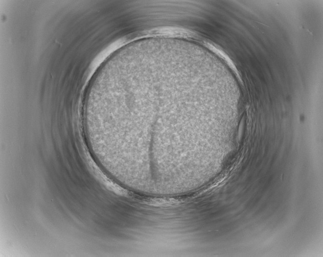 X0000085281091200704092200