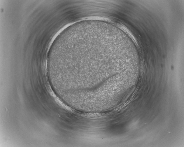 X0000085281092200704092200