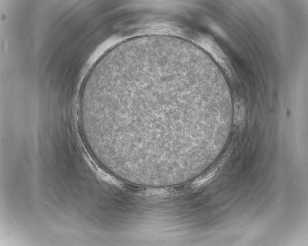 X0000085281094200704092200