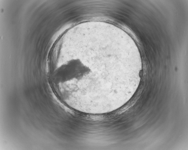 X0000085281095200704092200