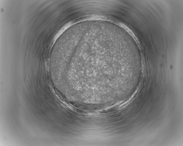 X0000085281097200704092200