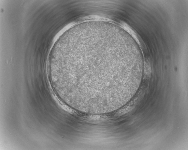 X0000085281098200704092200