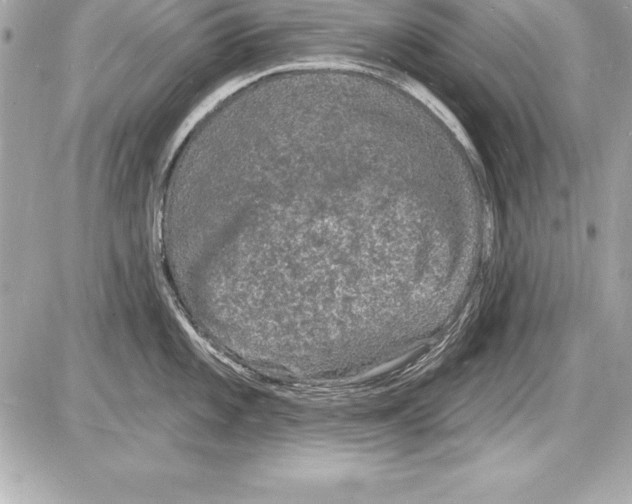 X0000085281101200704092200