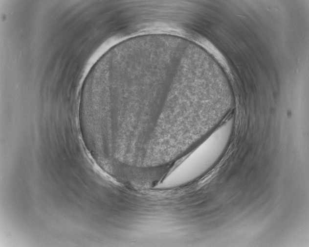 X0000085281102200704092200