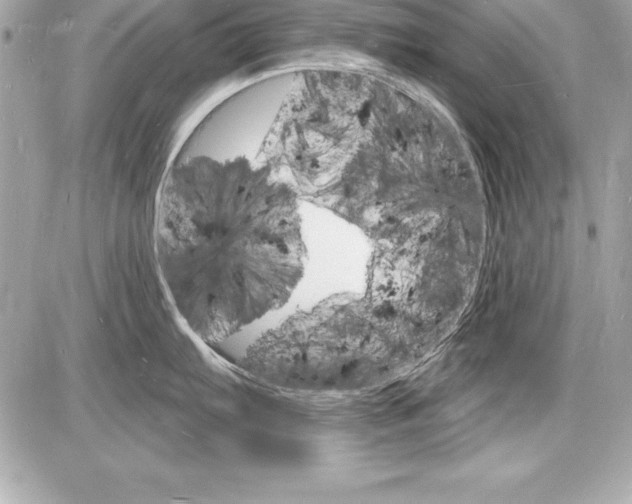 X0000085281103200704092200