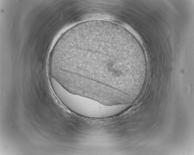 X0000085281104200704092200