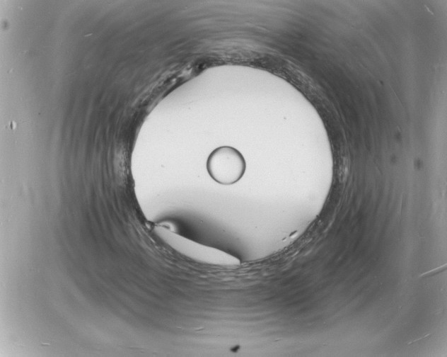 X0000085281108200704092159