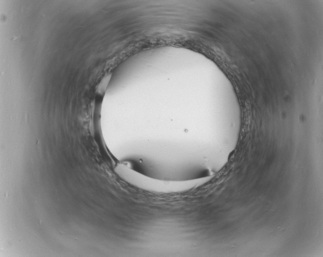 X0000085281109200704092159