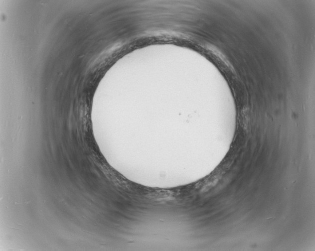 X0000085281111200704092159